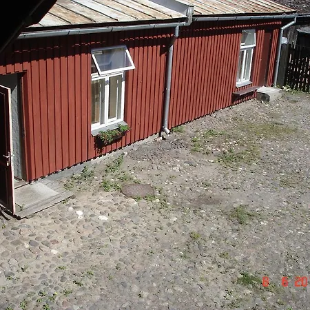 Vintsi