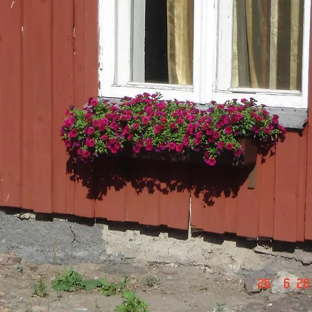 Hostel Vintsi *