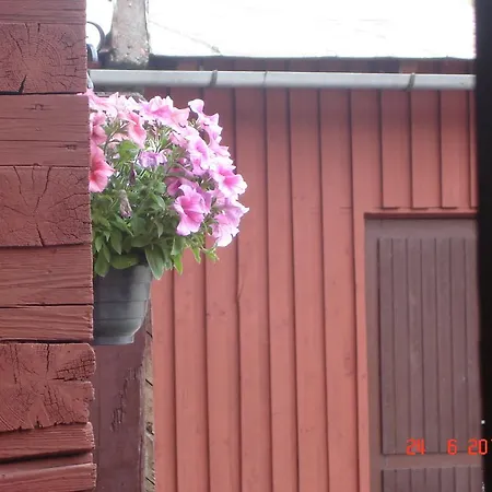 Hostel Vintsi *